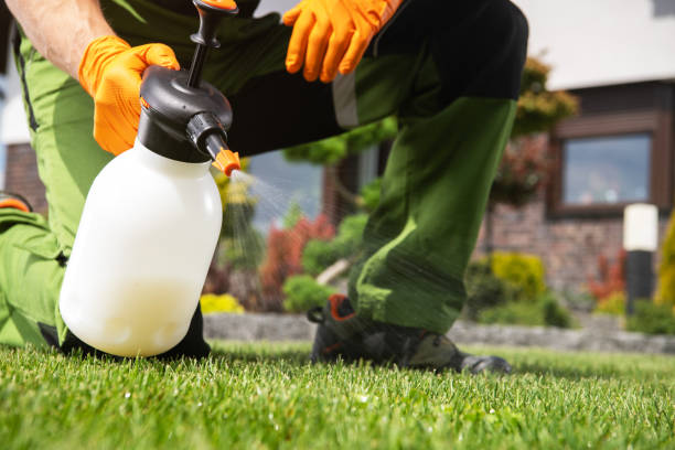 Best Affordable Pest Control Services  in Tieton, WA