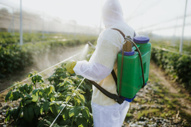 Best Wasp Removal Services  in Tieton, WA